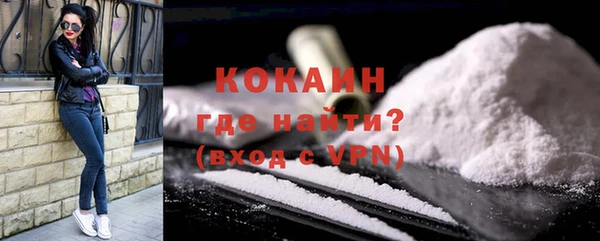 дживик Переславль-Залесский