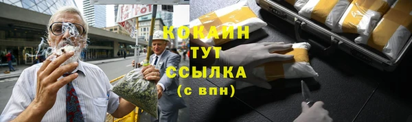 стафф Пересвет