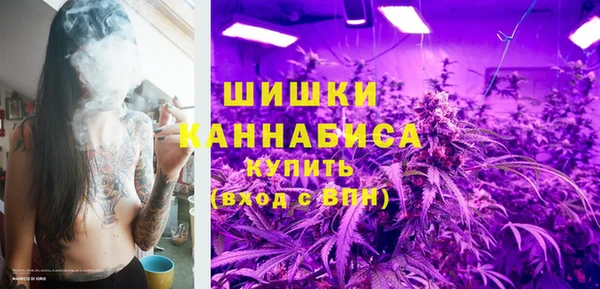 дживик Переславль-Залесский
