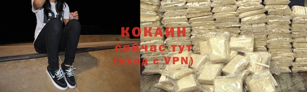 дживик Переславль-Залесский