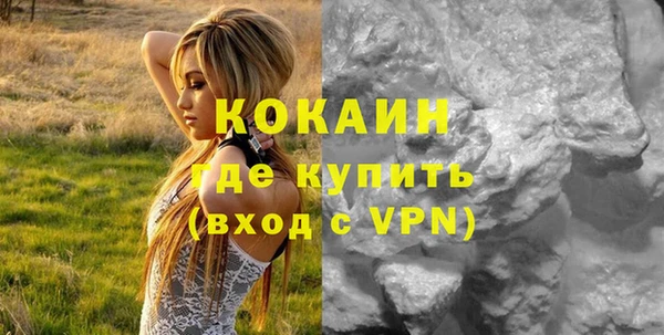 дживик Переславль-Залесский
