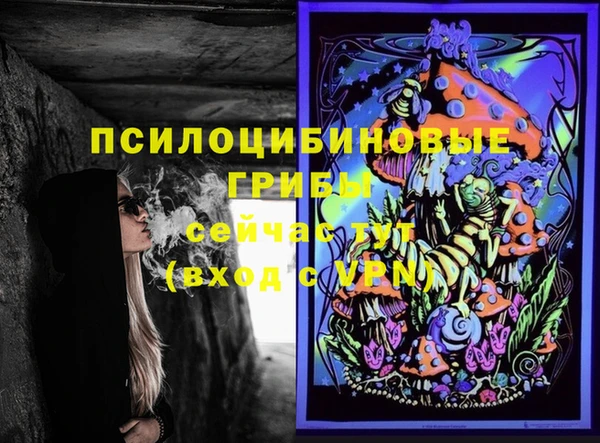 крисы Пестово