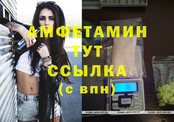 дживик Переславль-Залесский