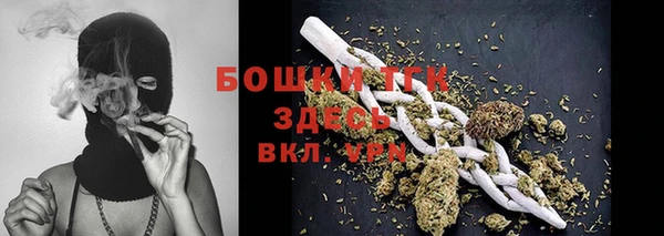 крисы Пестово