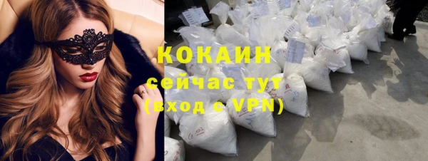 крисы Пестово