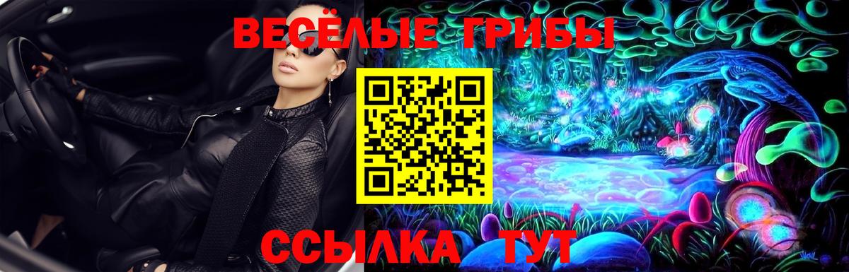 дарнет шоп  Коммунар  Псилоцибиновые грибы мицелий 