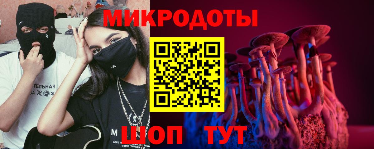 Коммунар  купить наркотик  Вход с VPN  Псилоцибиновые грибы Psilocybine cubensis 