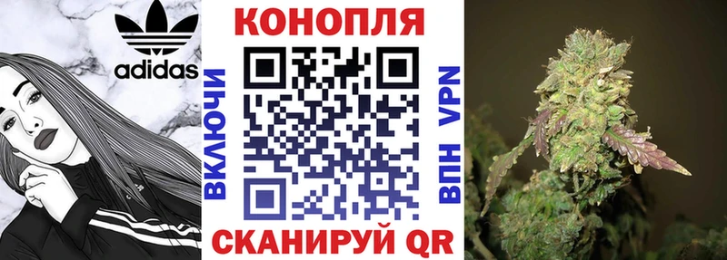 где можно купить   Коммунар  Бошки Шишки индика 